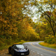 Illustration for article titled Your Leafy Lotus Elise Wallpapers Are Here